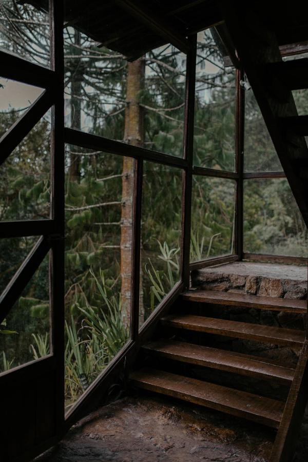 Alive Eco Hut Pousada Monte Verde Extérieur photo